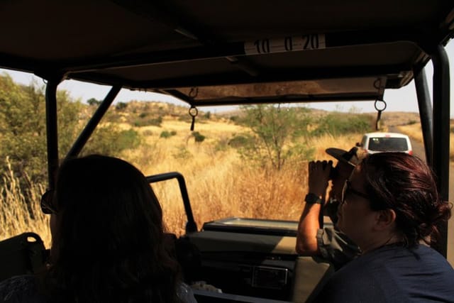 Elephant In Pilanesberg 